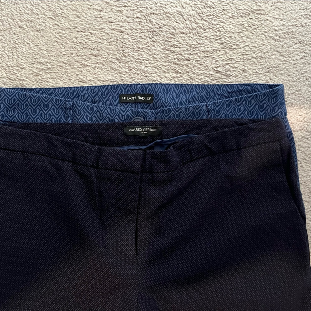 5/$20-TWO pairs Hillary Radley size 10 blue pattern.  Black Mario Serani